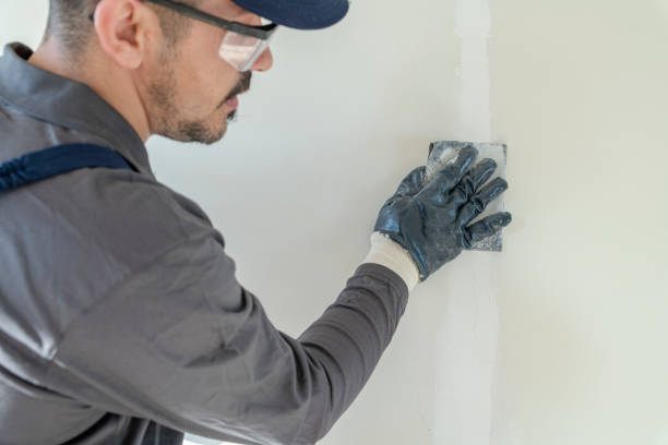 Best Commercial Painting  in Lincoln Park, NY